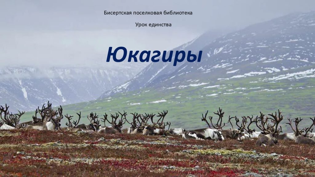Информационная минута — Урок единства. Юкагиры, 6+
